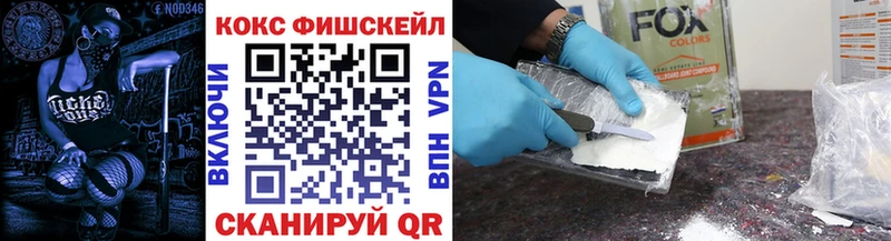 Cocaine FishScale  Купить  Благовещенск 